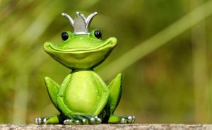 Content Is King Frog